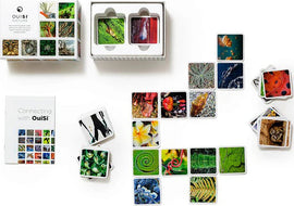 Ouisi Nature: Games of Visual, a set containing visually engaging memory cards featuring vibrant images of nature. The packaging includes various game pieces and an instruction booklet. Displayed cards illustrate diverse natural elements like plants, insects, and colorful patterns, all laid out on a white surface.
