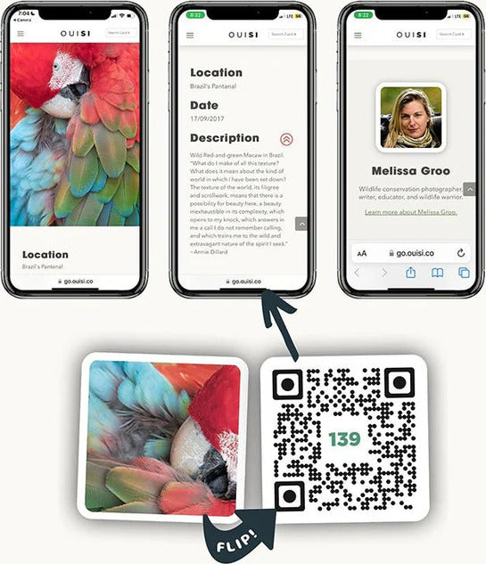 Three smartphones displaying the Ouisi Nature game interface, showcasing interactive gameplay features. One phone shows a vibrant image of a red and green macaw. Another screen provides details about the game's location in Brazil's Pantanal, including a description and date. The third screen displays a conservation photographer's profile with a portrait. Below, two cards feature a close-up of the macaw and a QR code for accessing game features.