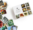 The OuiSi Original: Games of Visual features a box containing 210 connecting photo cards. The box is displayed alongside some of the colorful cards, showcasing images that foster creativity and connection among players. The cards are vibrant, including various objects and textures, promoting engagement and imaginative play.