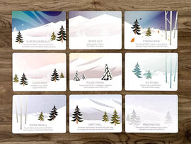 Winterhaven Woods: Fresh Snow - 0