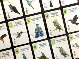 Wingspan Americas Expansion Bird Cards