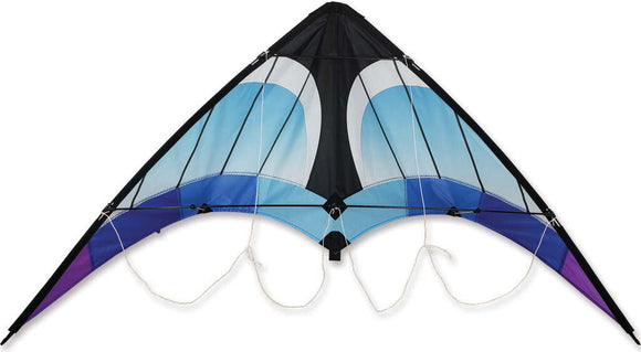 Zoomer 2.0 Kite - Cool