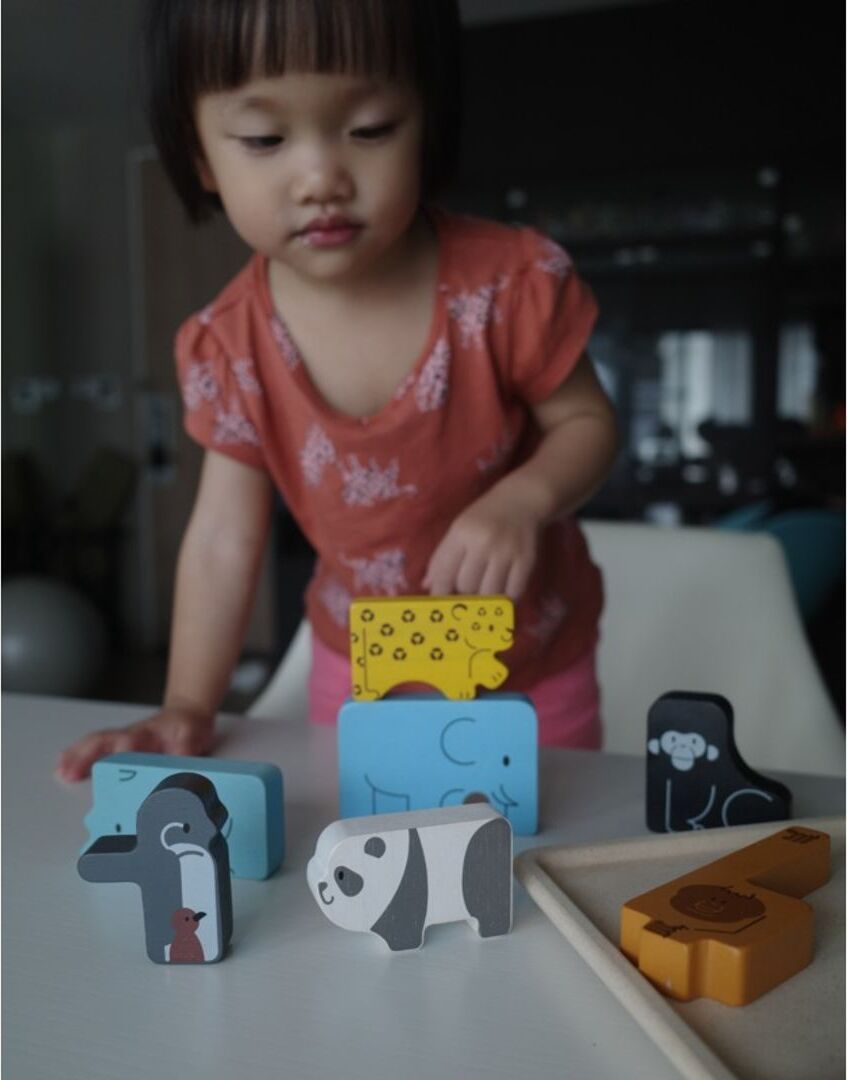Animal Puzzle Game