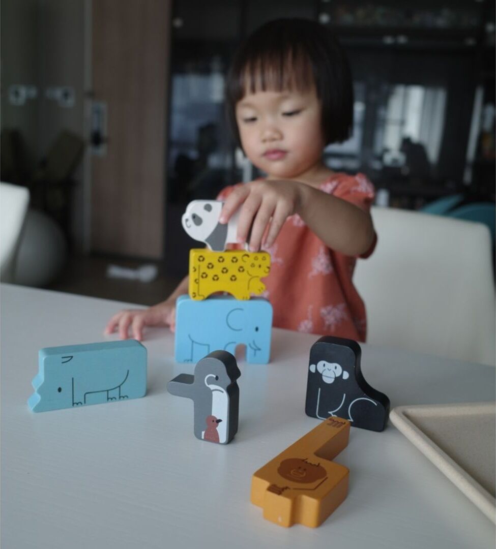 Animal Puzzle Game