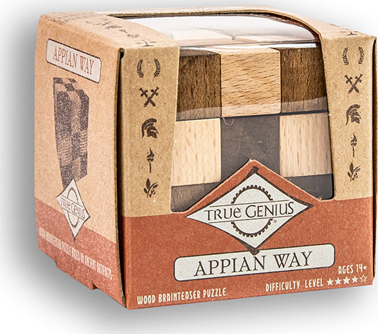 The Appian Way mechanical puzzle by Project Genius is packaged in a decorative box featuring various wood blocks in a unique pattern. This brainteaser puzzle is suitable for ages 14 and up and is designed to challenge your problem-solving skills with a difficulty rating of four stars.