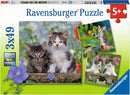 A Ravensburger jigsaw puzzle titled 'Cuddly Kittens' featuring three adorable 49-piece puzzles. The main image displays two fluffy kittens in a colorful garden with flowers. The smaller images show more playful kittens among vibrant greenery, perfect for children's entertainment and skill development.