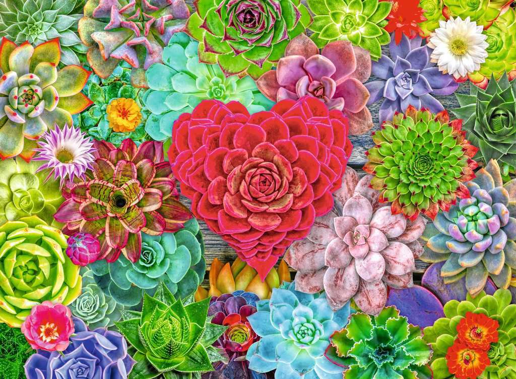 Succulent Love 500 Pc Puzzle