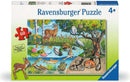 Animals Above and Below 60 Pc Puzzle