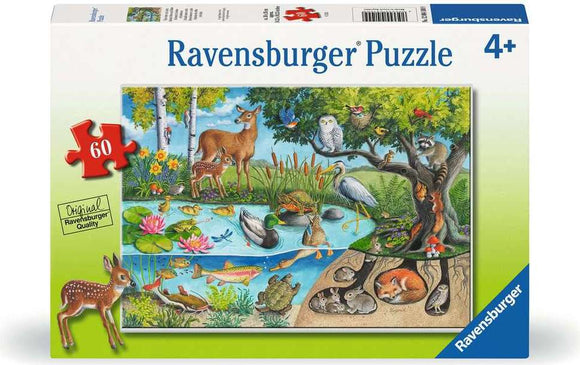 Animals Above and Below 60 Pc Puzzle