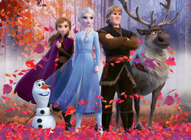 Frozen 2: Magic Of The Forest image