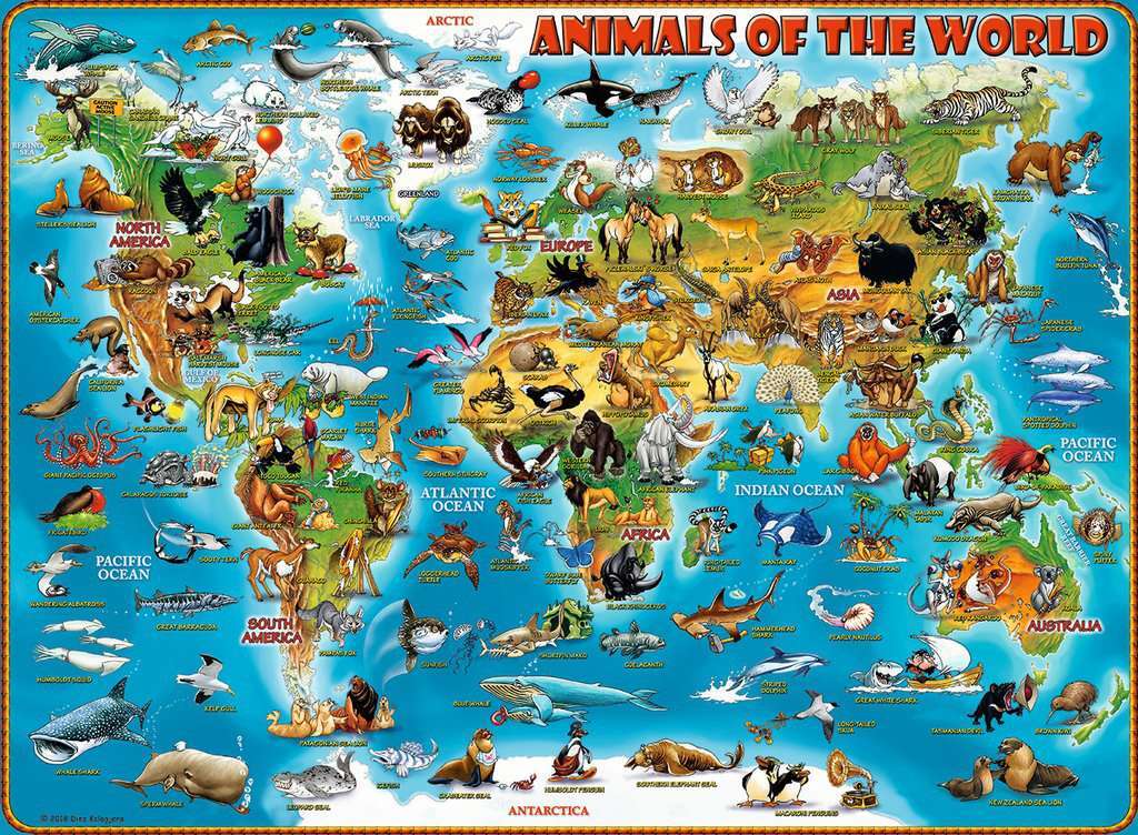 Animals of the World 300 Pc Puzzle