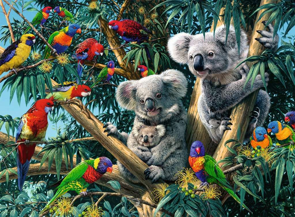 Koalas in a Tree 500 pc Puzzle