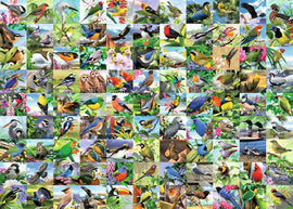 A vibrant jigsaw puzzle featuring 99 delightful bird species, each beautifully illustrated in a colorful collage of nature scenes. The 300 pieces showcase various birds such as owls, finches, and tropical birds amidst lush floral backgrounds, perfect for bird lovers and puzzle enthusiasts.