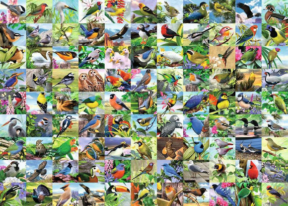 A vibrant jigsaw puzzle featuring 99 delightful bird species, each beautifully illustrated in a colorful collage of nature scenes. The 300 pieces showcase various birds such as owls, finches, and tropical birds amidst lush floral backgrounds, perfect for bird lovers and puzzle enthusiasts.