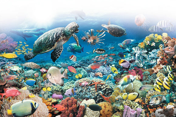 A vibrant underwater scene showcasing a variety of sea life, including colorful fish, coral reefs, and a sea turtle swimming gracefully. This beautifully detailed illustration captures the diversity of marine life beneath the ocean, making it a captivating image for a jigsaw puzzle.