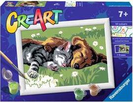 CreArt Sleeping Cat and Dog Paint by Number DIY kit featuring a canvas of a gray cat sleeping next to a brown dog in a grassy field with flowers. Includes paint pots and brush for easy application, suitable for ages 7 and up.