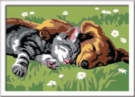 CreArt Sleeping Cat and Dog Paint by Number DIY kit, featuring a cute sleeping tabby cat cuddled up against a sleepy golden retriever on a grassy field dotted with daisies. Perfect for animal lovers and art enthusiasts looking for a fun and relaxing craft project.