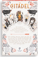 The Citadel: A Fantasy Oracle (60 Oracle Cards & Guidebook)