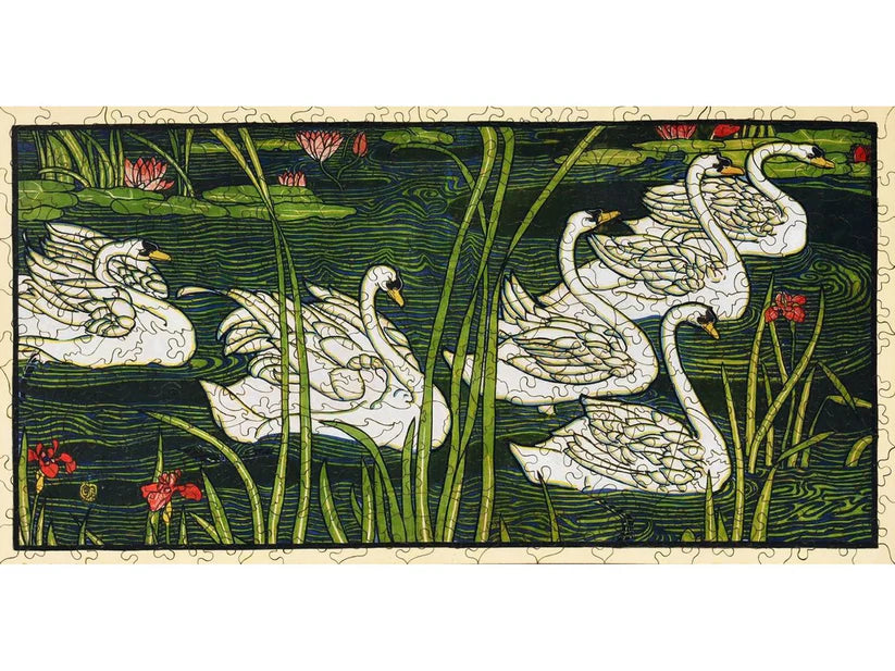 swans art