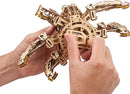 A person assembling the Ugears 3D Hexapod Explorer DIY kit, showcasing a detailed wooden mechanical spider model with articulated legs. The kit emphasizes creativity and hands-on building, allowing users to explore engineering concepts.