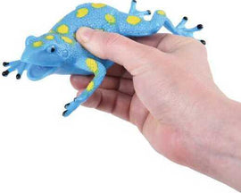 A person holding a squeezeable blue frog with yellow spots. The frog is designed for stress relief and sensory stimulation, showcasing a vibrant design and textured surface.