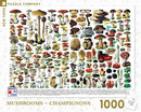 A colorful 1000-piece jigsaw puzzle featuring a detailed illustration of various types of mushrooms, including shapes, sizes, and unique characteristics. The puzzle includes vibrant drawings of different fungi set against a light background, ideal for mushroom lovers and puzzle enthusiasts alike, showcasing the diversity of mushrooms.