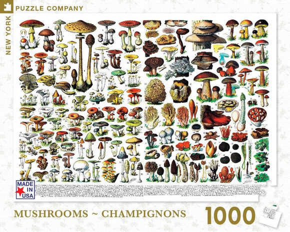 A colorful 1000-piece jigsaw puzzle featuring a detailed illustration of various types of mushrooms, including shapes, sizes, and unique characteristics. The puzzle includes vibrant drawings of different fungi set against a light background, ideal for mushroom lovers and puzzle enthusiasts alike, showcasing the diversity of mushrooms.