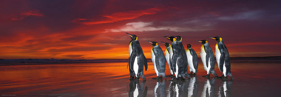 A stunning jigsaw puzzle featuring a group of King Penguins standing on a beach at sunset. The vibrant orange and purple sky reflects on the water, highlighting the unique beauty of these majestic birds. Ideal for wildlife enthusiasts and puzzle lovers alike, this jigsaw challenges you to piece together a breathtaking scene from nature.