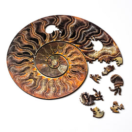 Nervous System's Ammonite Puzzle featuring a spiral design inspired by ammonite fossils. The jigsaw puzzle includes uniquely shaped pieces in rich brown and gold colors, some pieces scattered around the partially completed spiral. The intricate texture and natural patterns mimic the look of polished stone, making it both a challenging and visually appealing puzzle experience.