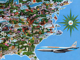 A colorful 1000-piece jigsaw puzzle titled 'American Origins' features a collage of iconic landmarks, historical figures, and cultural symbols from the eastern United States. The vibrant illustrations include a vintage airplane marked 'Piedmont,' various nature scenes, and representations of historical events, capturing the essence and diversity of American heritage.