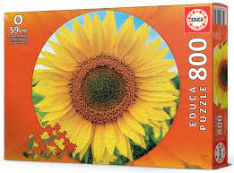 Educa Sunflower Jigsaw Puzzle featuring a vibrant sunflower design, consisting of 800 pieces. The puzzle measures 59 cm and comes in a colorful box.