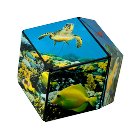 The Shashibo Undersea is a captivating mechanical puzzle featuring vibrant designs of underwater life, including colorful fish and a sea turtle. This unique shapeshifting puzzle transforms into numerous forms, combining the joy of exploration with skill-building challenges. Perfect for enthusiasts and anyone looking to enhance their spatial awareness.