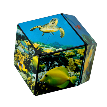 The Shashibo Undersea is a captivating mechanical puzzle featuring vibrant designs of underwater life, including colorful fish and a sea turtle. This unique shapeshifting puzzle transforms into numerous forms, combining the joy of exploration with skill-building challenges. Perfect for enthusiasts and anyone looking to enhance their spatial awareness.