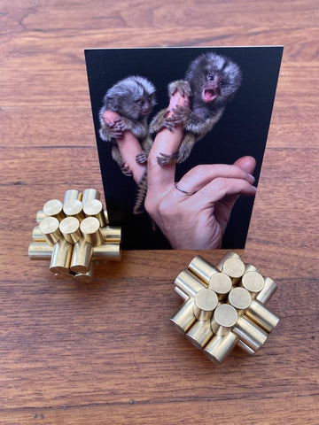 Marmoset Burr Brass mechanical puzzle featuring two intricate designs made from brass pieces. The background displays a photo of two marmoset monkeys being held by a hand.