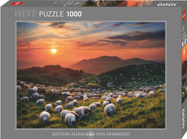 A visually stunning jigsaw puzzle titled 'Sheep and Volcanoes' by Heye, featuring a picturesque landscape with sheep grazing in a lush green field during a vibrant sunset, surrounded by rolling hills and volcanic formations in the background. The puzzle consists of 1000 pieces, perfect for landscape enthusiasts and puzzle lovers.