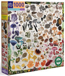 Eeboo's Mushroom Rainbow jigsaw puzzle featuring a vibrant collage of various mushrooms in colorful illustrations. The box showcases a 1000-piece design, perfect for nature lovers and puzzle enthusiasts. Eco-friendly packaging and beautiful artwork make it a great addition to any puzzle collection.