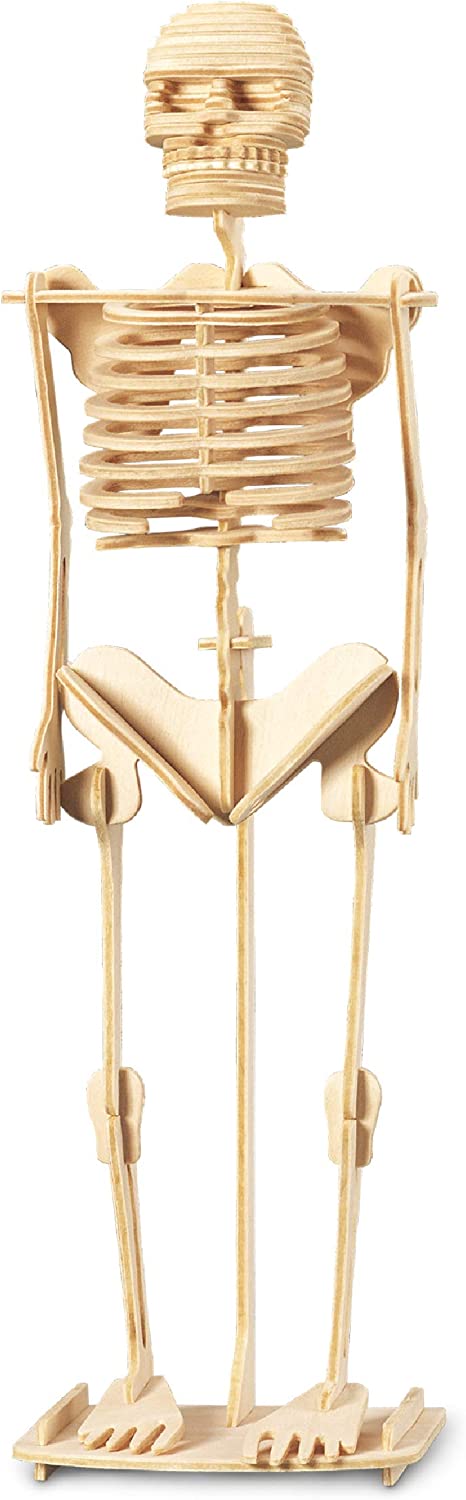 Skeleton Buildar Build a Skeleton | EurekaPuzzles