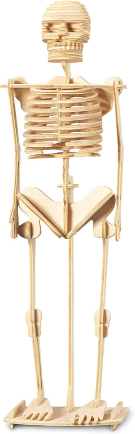 The Build a Skeleton DIY kit by The Original Toy Company features a detailed wooden skeleton model that can be assembled, showcasing individual bones and joints for educational exploration.