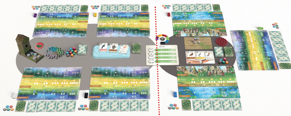 The Wingspan Asia Expansion board game setup featuring colorful landscape cards, wooden tokens, player boards, and game components for immersive gameplay.