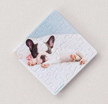 Dreaming Puppy 16 piece Magnet Puzzle
