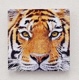 Close Up of Tiger 16 piece Puzzle Magnet