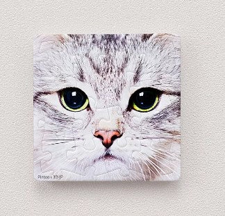 A close-up image of a kitten's face featured on a 16-piece jigsaw puzzle magnet. The kitten has soft fur with a blend of gray tones and striking green eyes, making it a captivating puzzle for cat lovers.