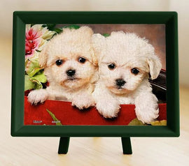Close-up of an adorable jigsaw puzzle featuring two fluffy puppies nestled in a gift box, surrounded by vibrant flowers. The puzzle is displayed in a stylish green frame, highlighting its charming design and intricate details, ideal for animal lovers and puzzle enthusiasts.