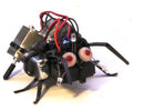 The Varikabi Robotic Critter is a black beetle-shaped DIY kit featuring multiple wires and components. It includes a set of eyes that emit red lights and has articulated legs, showcasing a detailed mechanical design ideal for robotics enthusiasts.