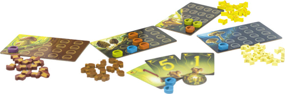 Wonder Woods board game by Blue Orange U.S.A. featuring colorful tokens, scoring cards, and game boards. The setup includes various pieces like mushrooms and pine cones, perfect for a fun and engaging gameplay experience.