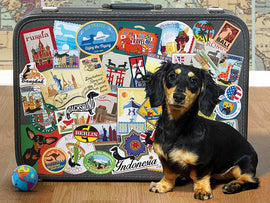 A Dachshund dog sits beside a vintage suitcase covered in colorful travel stickers from around the world, including cities like Paris, Berlin, and Bangkok. A small globe is placed in front of the suitcase, adding to the travel theme.