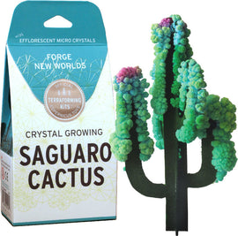 The Crystal Growing Saguaro Cactus DIY kit by Copernicus features a vibrant, colorful representation of a saguaro cactus made from efflorescent micro crystals. The kit is packaged in an eye-catching box with a green and blue color scheme, inviting users to create a beautiful crystalline cactus display.