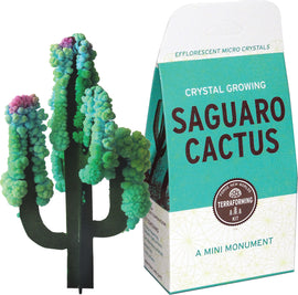 A vibrant Crystal Growing Saguaro Cactus DIY kit by Copernicus. The kit includes colorful microcrystals that create a beautifully textured cactus resembling a mini monument, set against a stylish packaging.