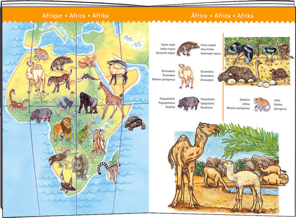 Observation: World's Animals jigsaw puzzle by DJECO featuring a colorful illustration of Africa's native animals, including a lion, giraffe, hippopotamus, and more, with clear labels in different languages.