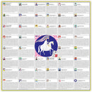 Eeboo's 'Votes for Women' jigsaw puzzle featuring illustrations of prominent figures in the women's suffrage movement. The central image depicts a woman in a flowing white dress riding a horse, holding a banner that reads 'Votes for Women'. Surrounding her are various illustrated profiles of historical activists and advocates, each accompanied by descriptions of their contributions to women's rights.